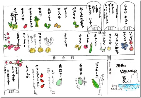 畑MAP2016春夏