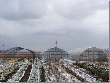 写真 2015-02-02 07.48.48