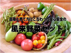 野菜セット